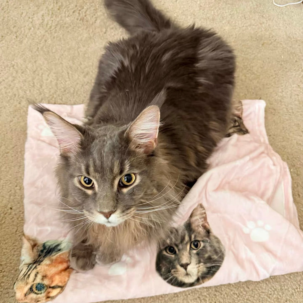 Custom Pet Photo Flannel Blanket | Personalized Dog & Cat Throw Blanket for Sofa Bed | Handmade Customized Gift for Pet Lovers & Memorial