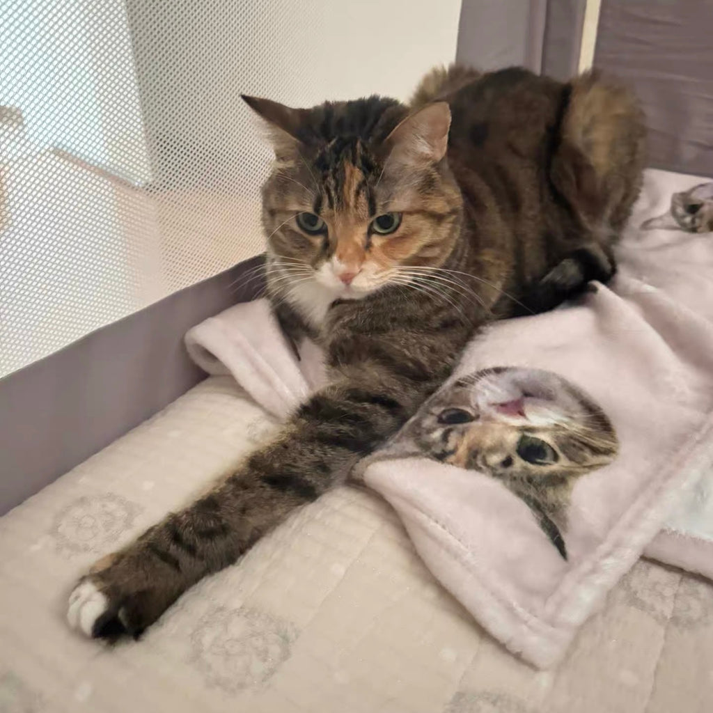 Custom Pet Photo Flannel Blanket | Personalized Dog & Cat Throw Blanket for Sofa Bed | Handmade Customized Gift for Pet Lovers & Memorial