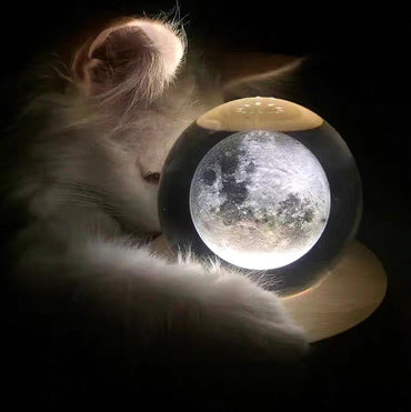 3D Crystal Ball Music Box (4.0"W * 5.1"H), Luminous Rotating Musical Box with Projection LED Light and Wood Base, Best Gift for Birthday, for Girls