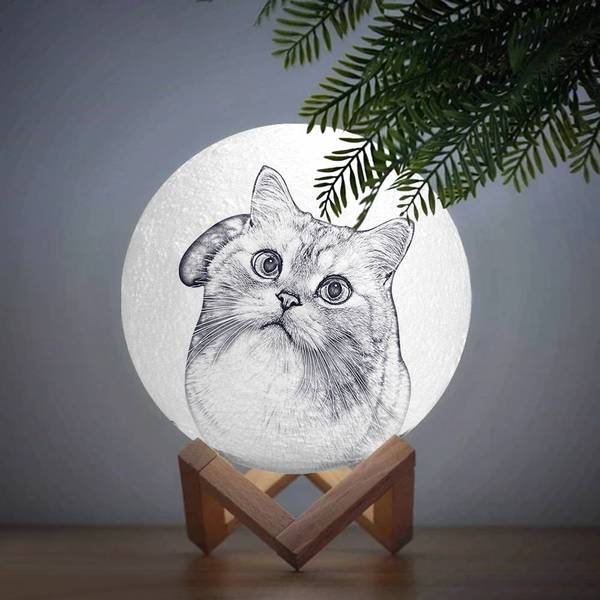 Custom 3D Moon Lamp, Personalized Gift With Your Pet Photo, Desk Light, 3 Colors With Stand, Rechargeable, For Pet Lovers